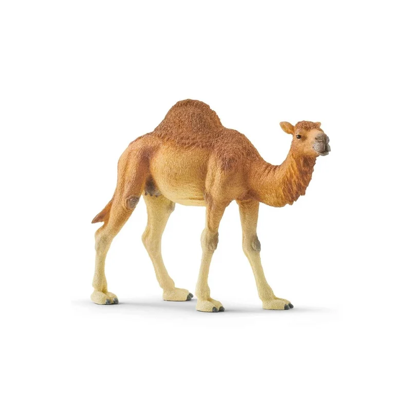 Figura animales Schleich Dromedario (14832)