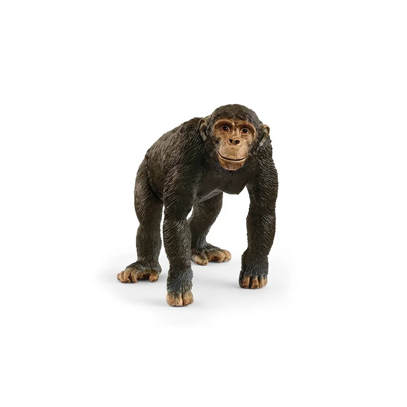 Figura animales Schleich Chimpancé (14883)