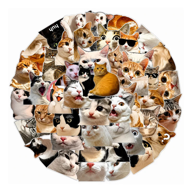 Miomu Set de Stickers, Memes de Gatitos Graciosos